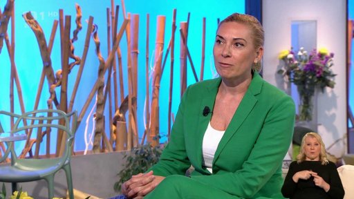 Ledvinové kameny - 3. vstup