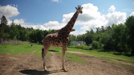 Olomoucká zoo
