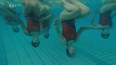 Synchronizované plavání