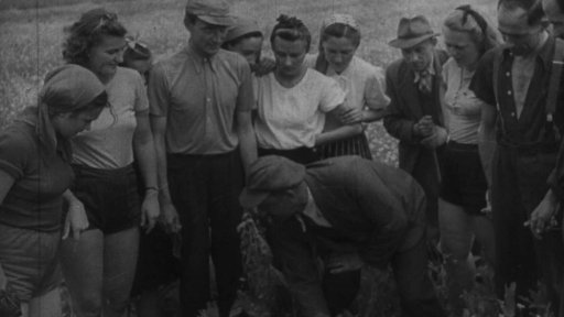 Dobrovolníci v zemědělství