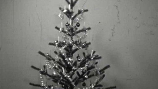 Vánoční stromky z továrny