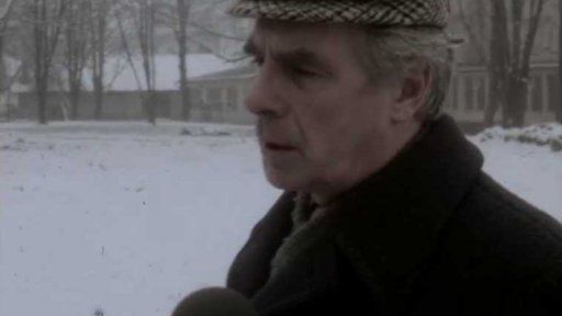 Kritika vykácení stromů v parku ve městě Počátky