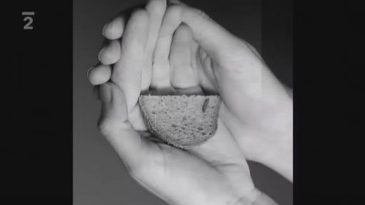 Portrét mladé spisovatelky Petry Dvořákové