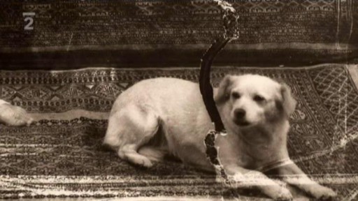 Nenechte si ujít:  Tvorba Joela-Petera Witkina