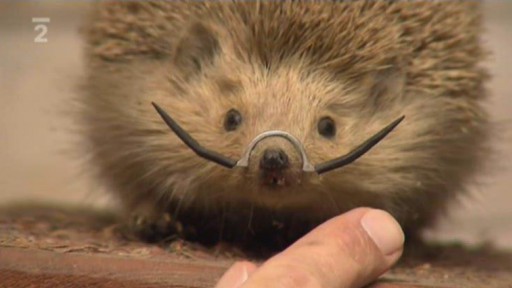 Portrét: Šperkař Jiří Jahelka