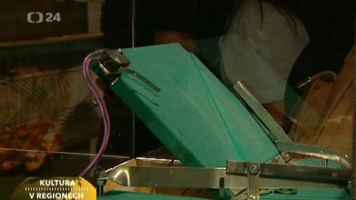 Výstava Na houby for Johna Cage