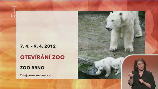 Velikonoční pozvánky