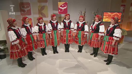 Vlčnovské búdové umělkyně- 2.část