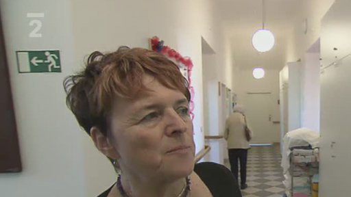 Villa Martha v Hrušovanech u Brna