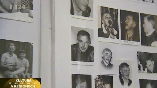 Výstava Karla Kryla