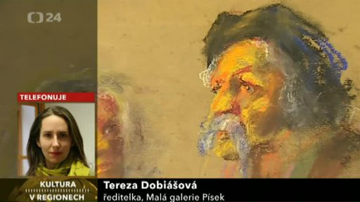 Výstavy v Malé galerii Písek