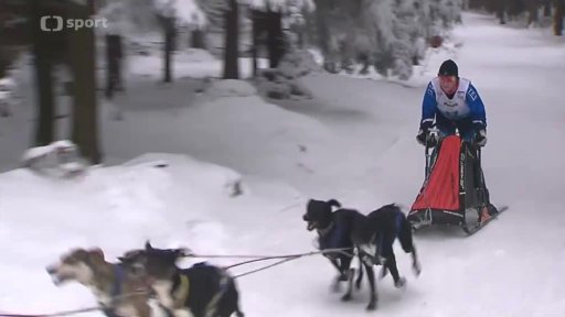 MČR psí spřežení