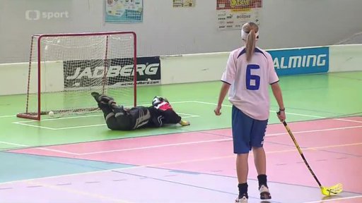 Středoškolský florbal