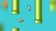 Vymazání hry Flappy Bird pobláznilo internet