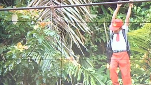 Bizarní cesta do školy