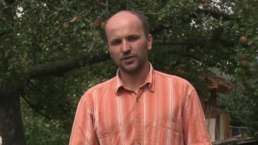 Farnost Velká Bystřice