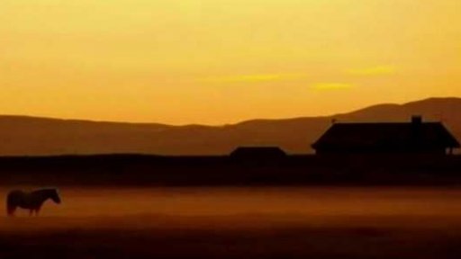 Aplikace: Fripito – nástroj pro mobilní fotografy