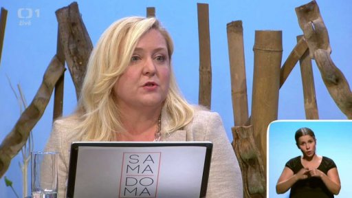 Příprava k přijímacím zkouškám, doučování - Petra Koktavá (chat) - 2. část