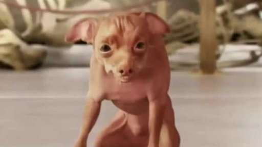 Týden v obrazech: Nejoblíbenější reklamy 2015