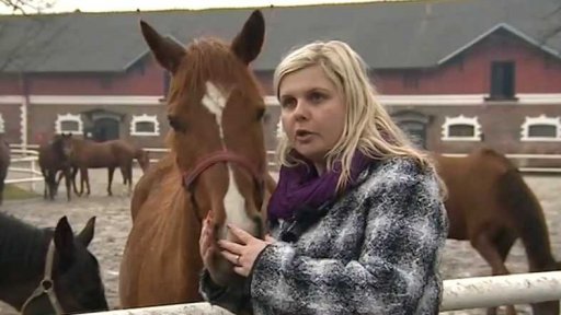 Nová krev z Napajedel