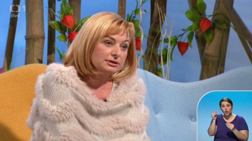 Plánování plastické operace - 1. část