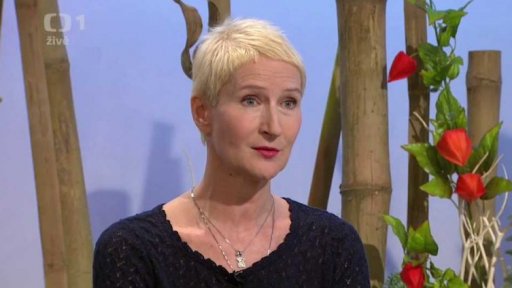 Sexy strategie Sylvy Lauerové