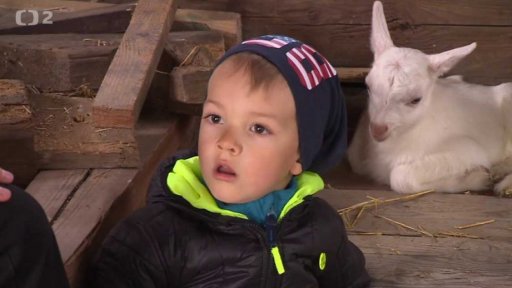 Brněnské Centrum pro rodinu má nové prostory