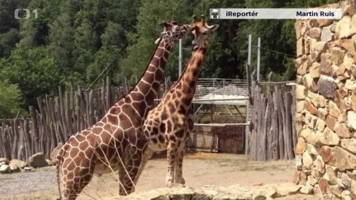 Soutěž: iReportér Týdne