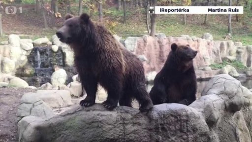 Soutěž: iReportér Týdne