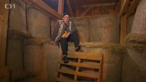 Normální úterý č.15