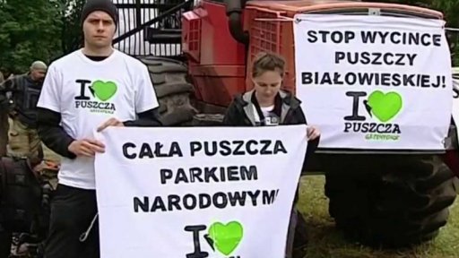 Pokuta pro Polsko za kácení Bělověžského pralesa