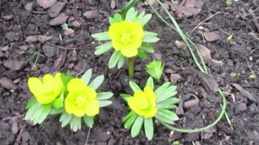 Soutěž: iReportér Týdne