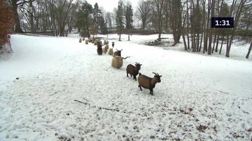 Tři minuty z: Zdounky