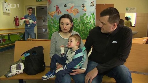 Vojtíškova motýlí křídla