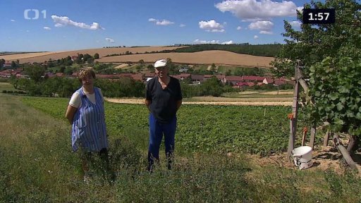 Tři minuty z: Uhřice