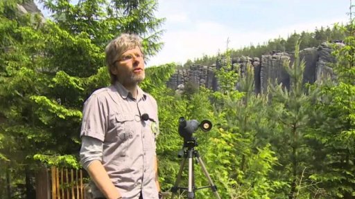 Strážci sokolů stěhovavých