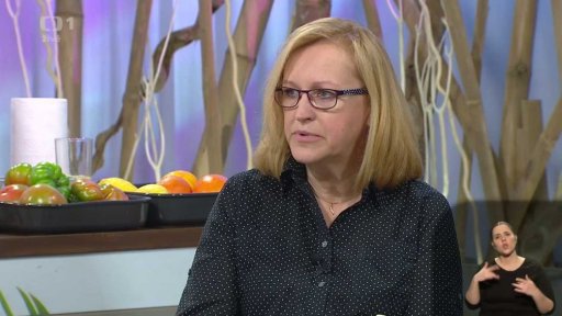 Zaměstnávání osob se zdravotním postižením