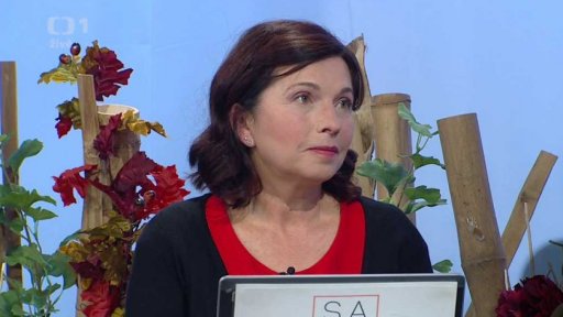 Porodní a poporodní péče o matku a dítě - 2. část + anketa