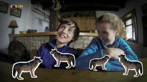 Huberťácký videoblog – Vlk