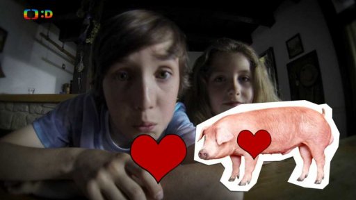 Huberťácký videoblog – Slepice, prase, krocan, kráva,