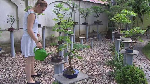 Krok Kyjov slaví 20