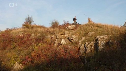 Paměťová stopa: Nálet