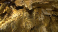 Bozkovské dolomitové jeskyně otevřené 50 let