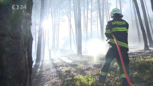 Sucho přineslo požáry
