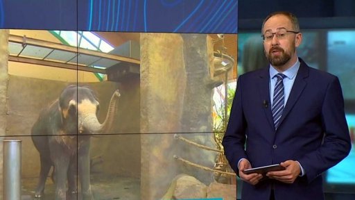 Reportáže ČT na sociálních sítích