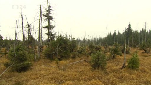 Bezzásahové území Rašeliniště Jizery