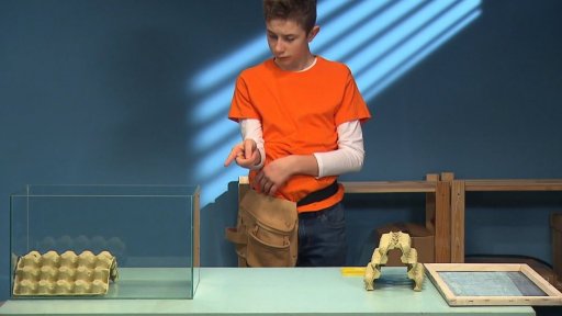 Bydlení pro cvrčka