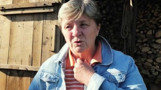 Alergická reakce po bodnutí sršně II. - rok poté