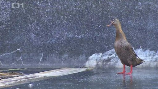 Tři minuty z: Kubšice