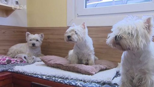 Tři minuty z Bernartic nad Odrou